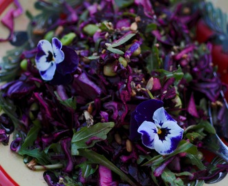 Purple salad & rödbetsshots