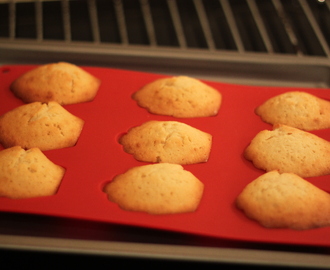 Perfekta madeleiner – äntligen!