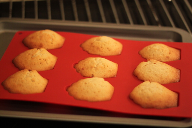 Perfekta madeleiner – äntligen!