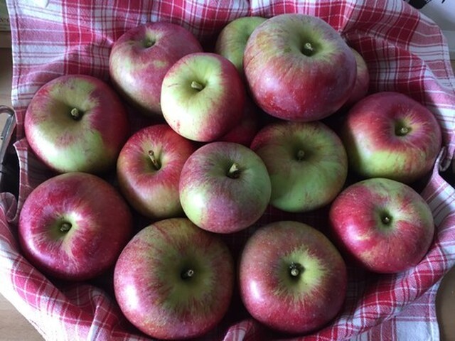 Jämföra äpplen och päron