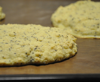 Scones vetefria