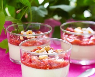 Panna cotta med rabarber