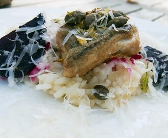 Risotto smaksatt med citron och krondill serverad med smörstekt makrill, rödbetor samt friterad kapris