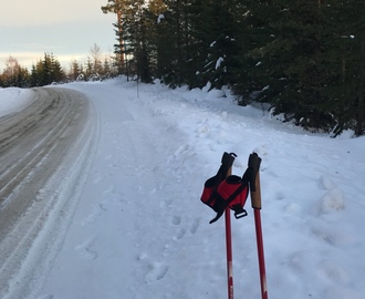 Funderingar inför nyår, dagens promenad och något att träna på...