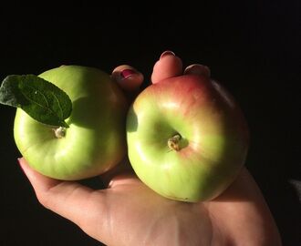 Äpple