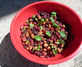 somrig sallad på bönor