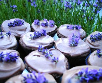 Lavendel cupcakes