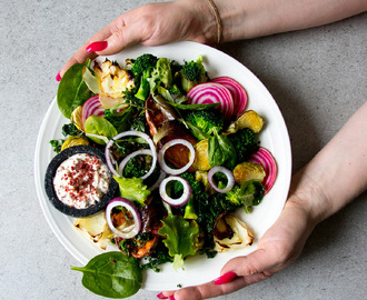 Kål- och kycklingsallad – färgexplosion till lunch eller middag