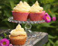 Citron- och kardemummacupcakes