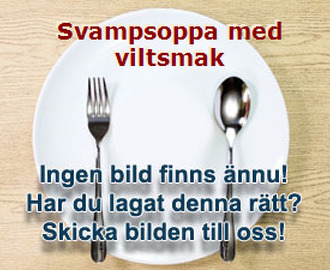 Svampsoppa med viltsmak