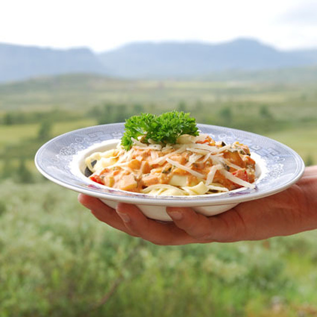 Pasta med vegetarisk pastasås