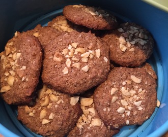 Glutenfria och mjölkfria jordnötskokoskakor med choklad och vanilj