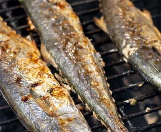 Grilled Whole Spanish Mackerel in Less Than 20 Minutes! | Recipe | Spanish mackerel recipe grilled, Spanish mackerel, Mackerel recipes