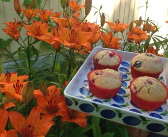 BLÅBÄR OCH RÖDA VINBÄRSMUFFINS