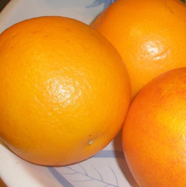 Fikafavoriten – soliga vetebullar med fyllning av apelsin eller citron!