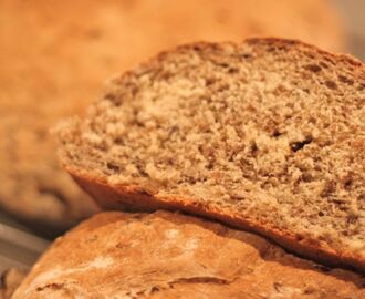 Vänskapens bröd - eller bröd med lingon och russin