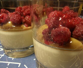 Citron-panna cotta med dulche de leche och hallon