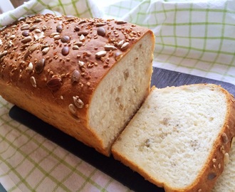 Glutenfritt fröbröd med havre