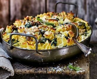 Pastagratäng med kyckling, salvia och parmesan