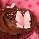 Cupcakes c: