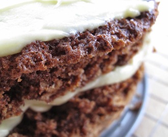 Two layer carrot cake