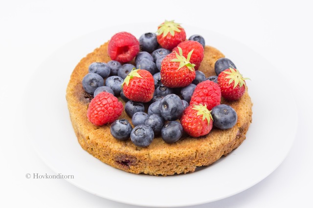 Gluten-free and Vegan Blueberry Lemon Cake