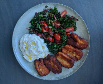 Friterad halloumi, tzatziki och grönkålssallad