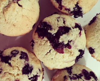 Blueberry corn muffins