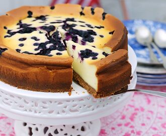 New York blueberry cheesecake