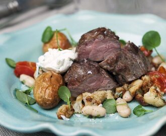 Lammentrecote med ragu på vita bönor, bakade tomater och blomkål samt örtig färskostkräm