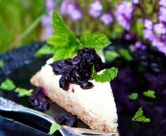 Raw food cheese cake med citron & kokossmak