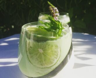 Mojito Panacotta