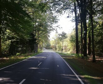 Inga köer, ingen autobahn