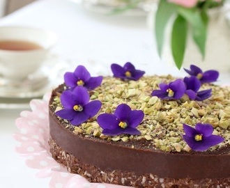 Glutenfri himmelsk raw food kladdkaka