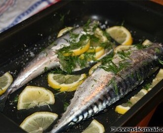 Helstekt makrill med dill och citron