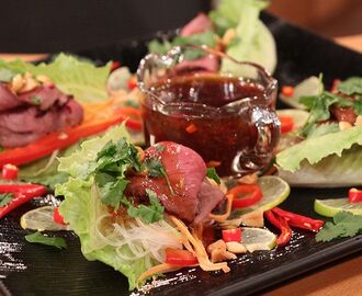 Het tjälknöl på älg med nudelsallad och limedressing