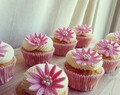 Rosa Babyshower Cupcakes