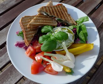 sallad med tsatsiki & mozzarella/serranotoast