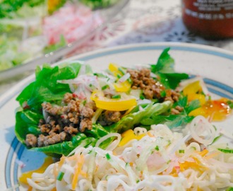 Vietnamesisk färsröra med grönsaker och dressing