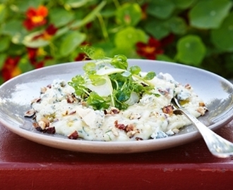 Risotto på rotselleri med rostade hasselnötter och ädelost