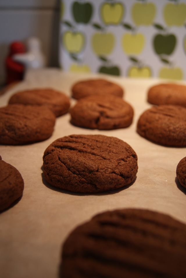 Gluten-/Laktosfria Cookies