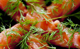 gravad lax