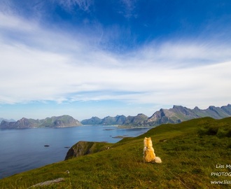 Yttersandheia hike in Lofoten