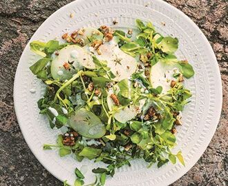 Sallad på karamelliserade valnötter, äpple och vattenkrasse