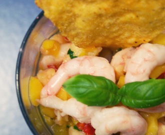 Frisk räkceviche