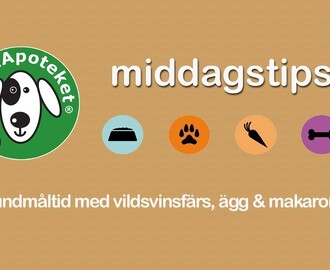 Hundmåltid med vildsvinsfärs, ägg & makaroner