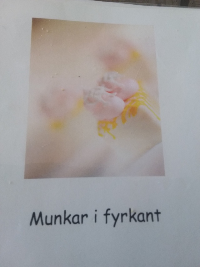 Munkar I Fyrkant