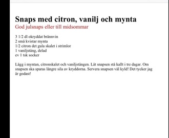 Snaps med citron, vanilj och mynta