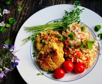 Lunch/MiddagsTips (Eko/Billigt/Vegetariskt)