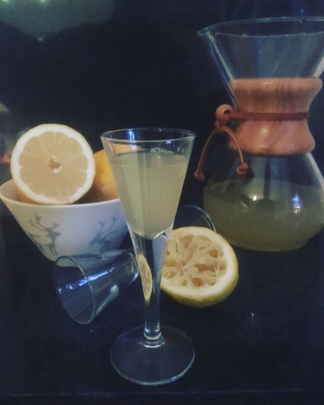 Citron & Ingefärashot